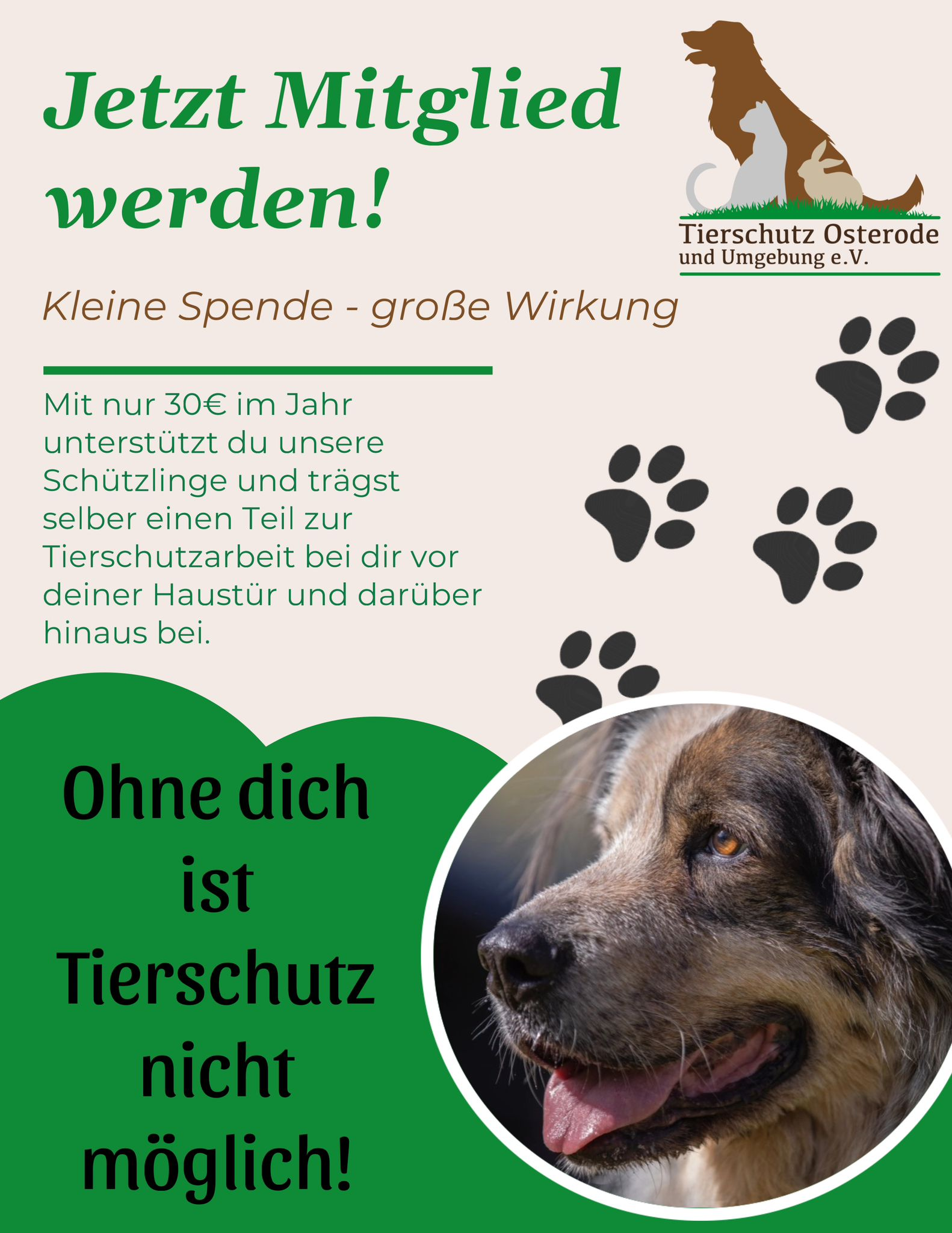 (c) Tierschutz-osterode.de
